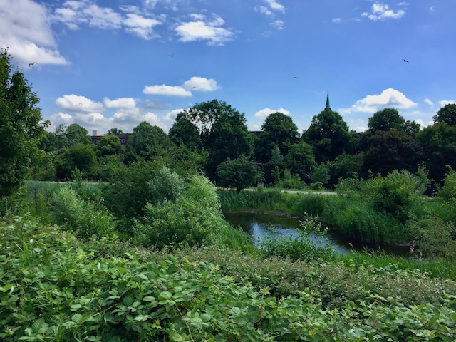 Essenburgpark Rotterdam