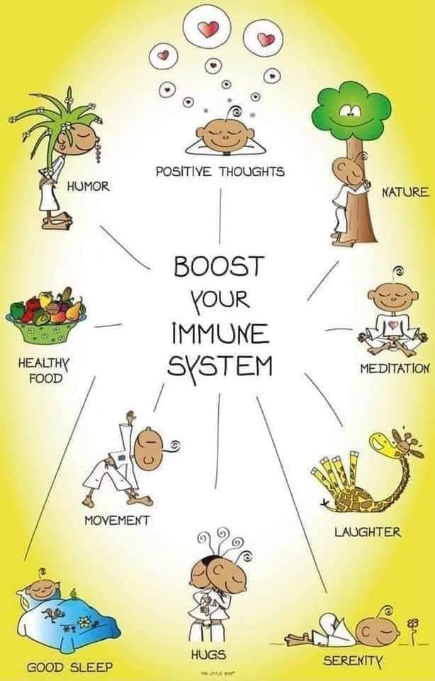 boost your immune system